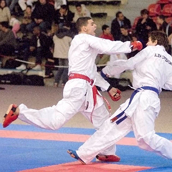 Karate14