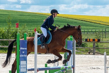 Peuplingues Jump Opale Chevaux,Polo