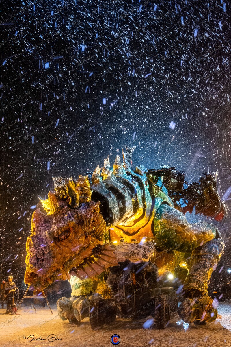 _B711090 dragon A2019