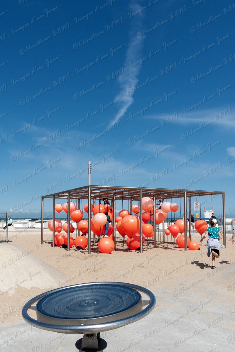 CB7_0758 