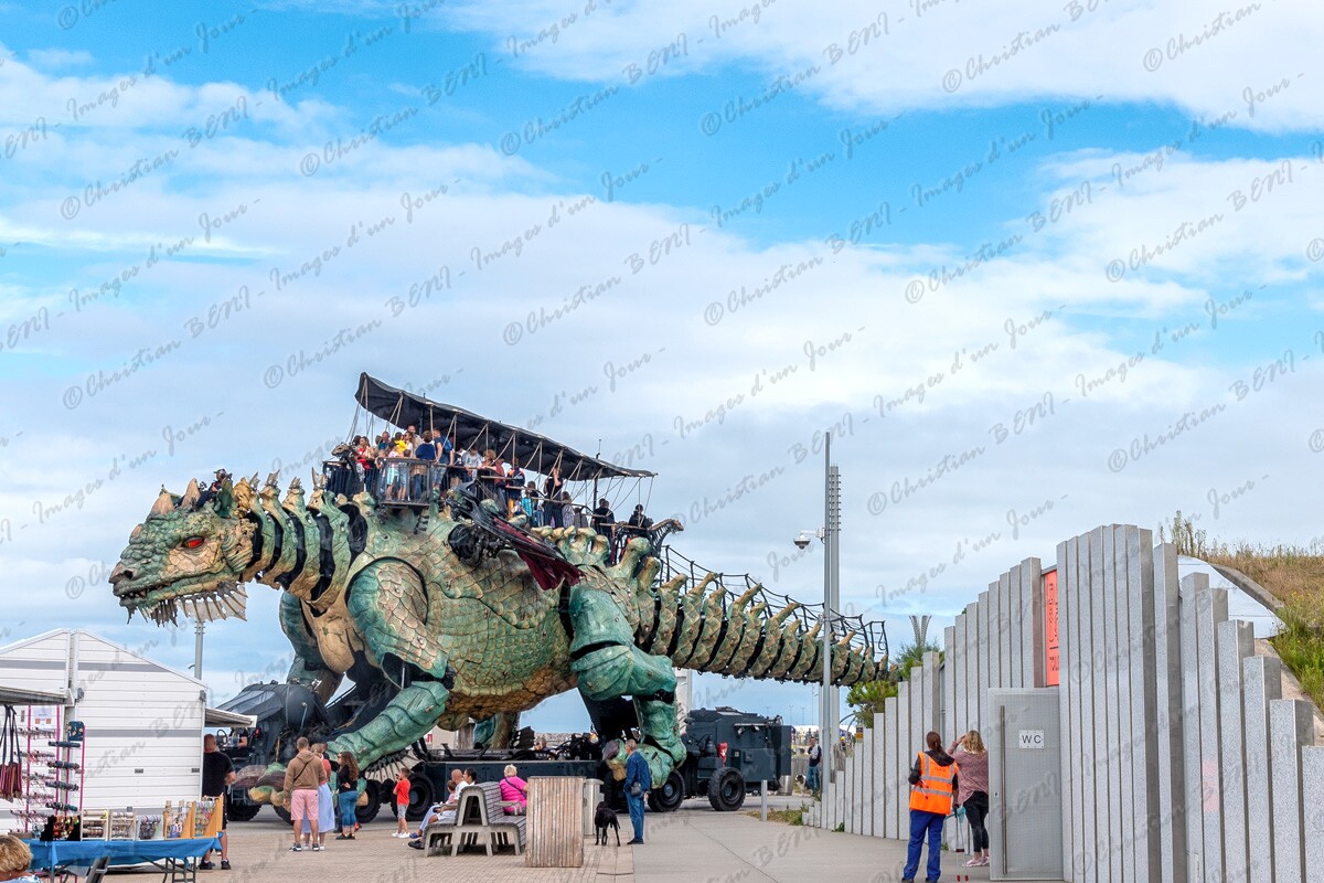 CB7_2046 