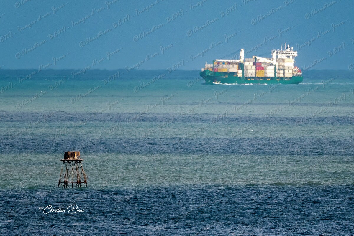 CB7_2772 