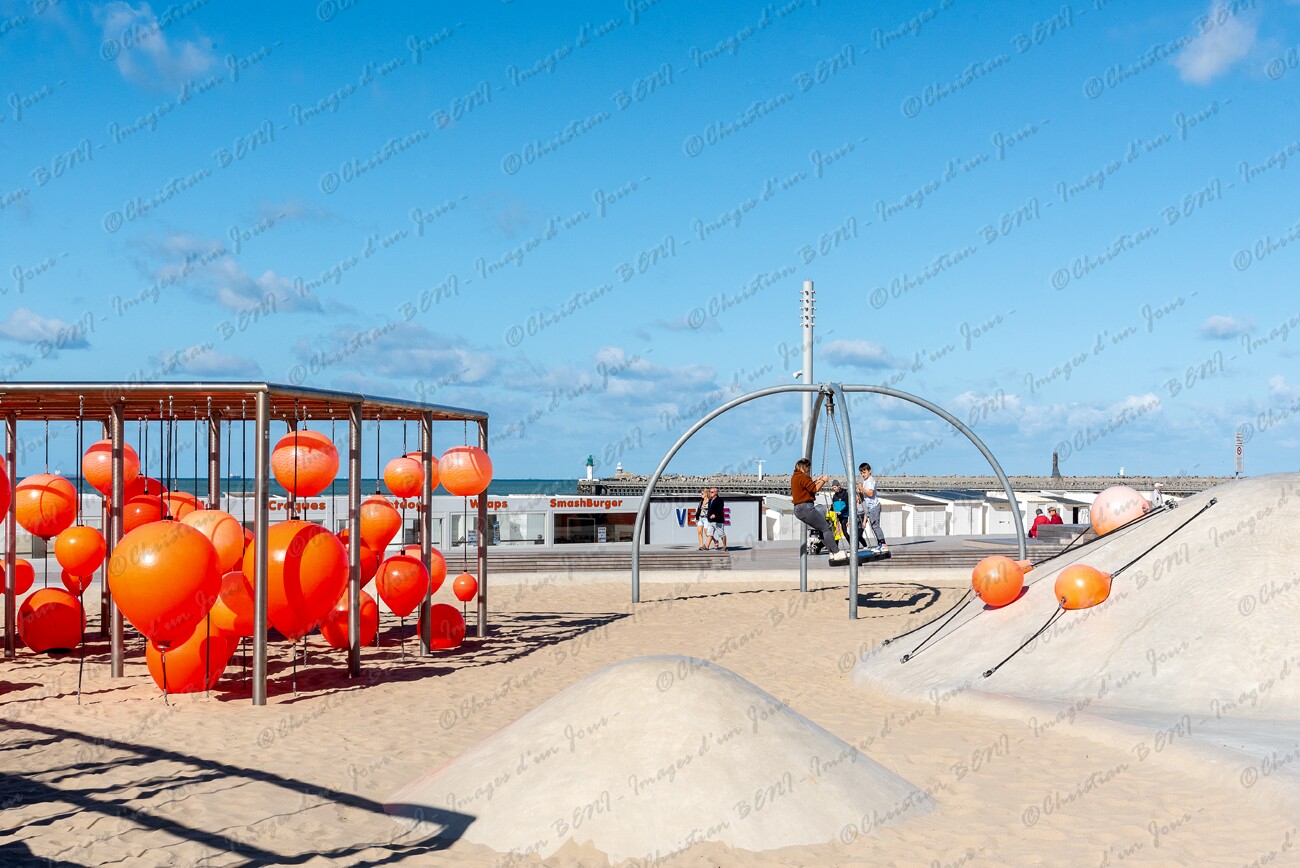 CB7_2875 