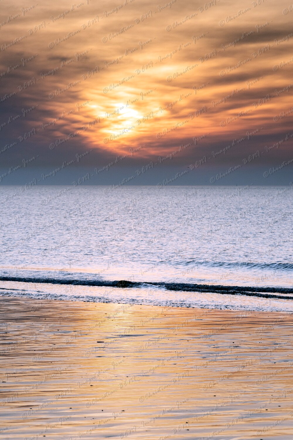 CB7_7439 