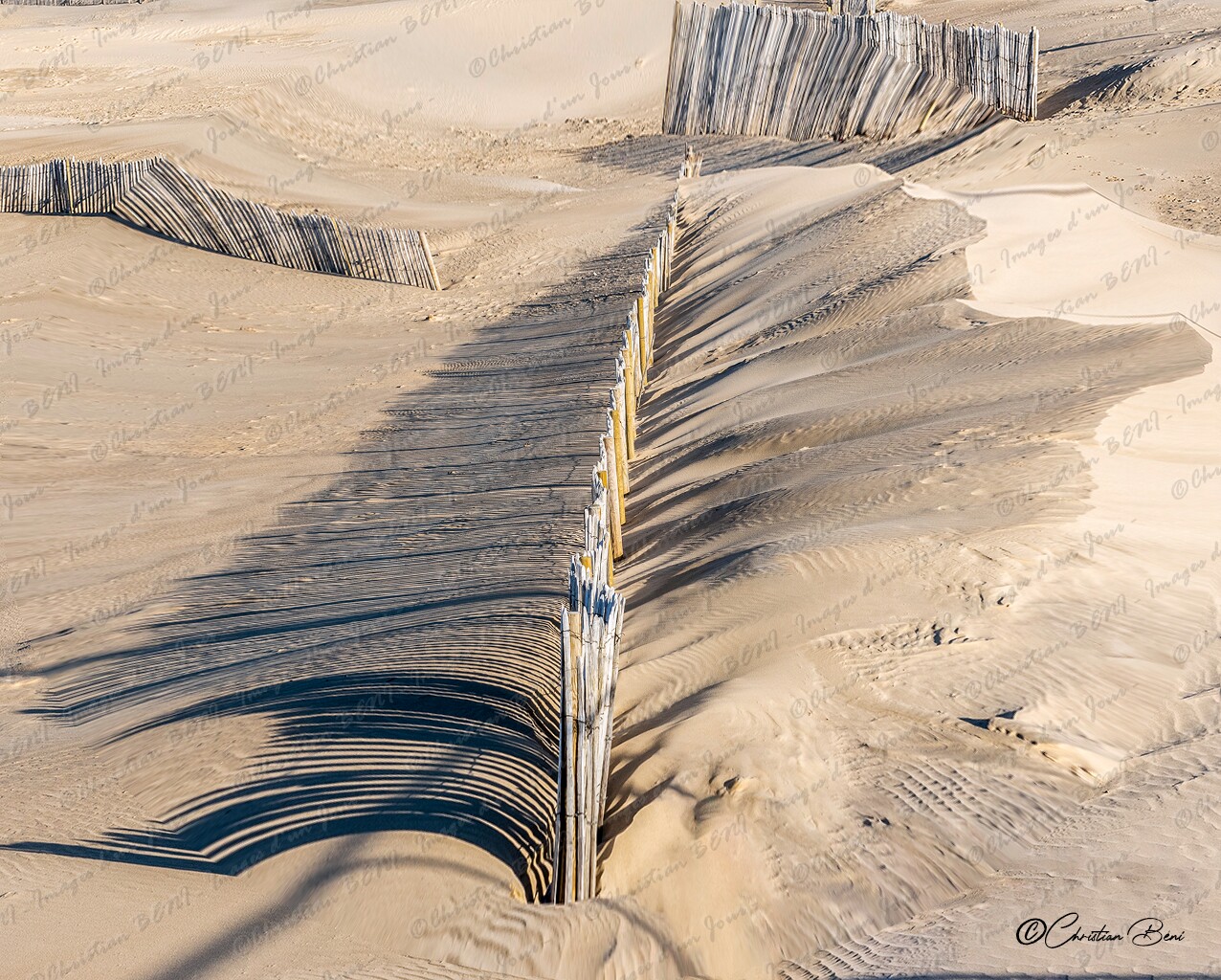 CB7_7474 