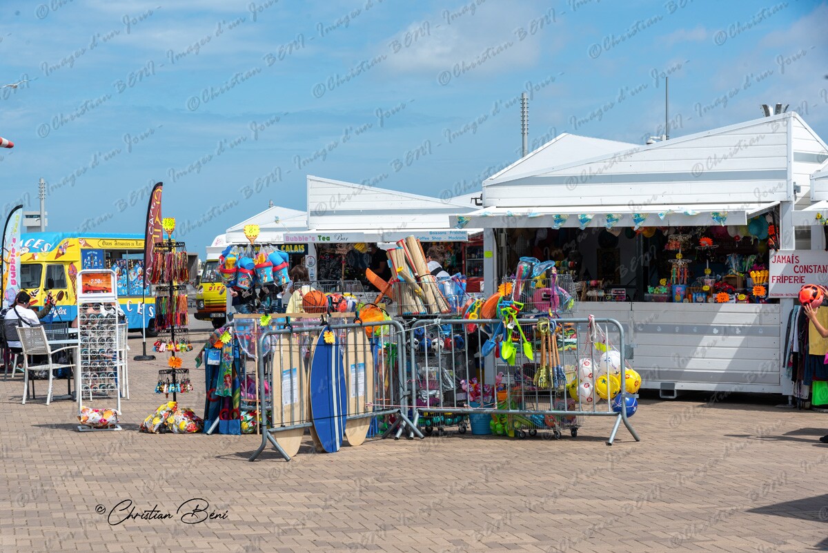 CB7_7619 
