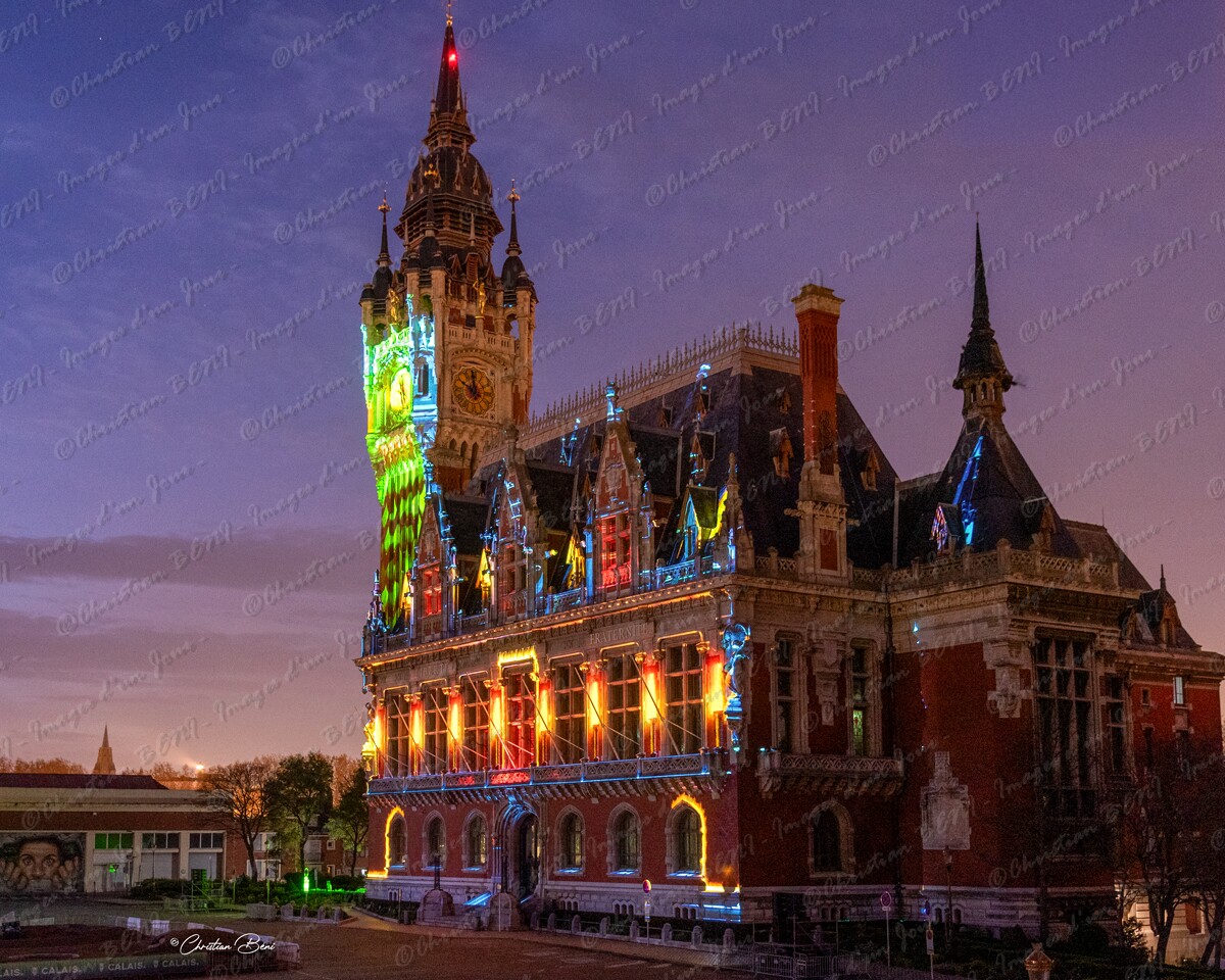 CB7_9593_1 