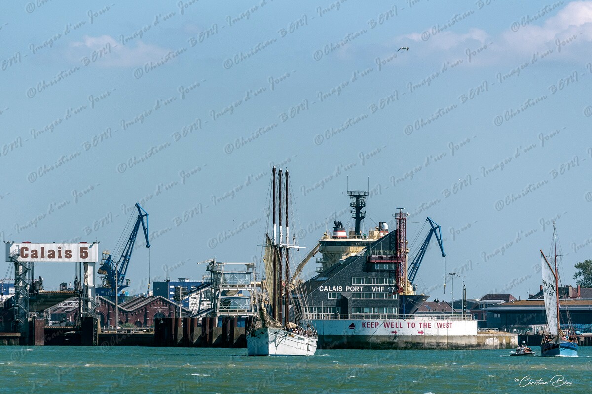 CB7_9695 