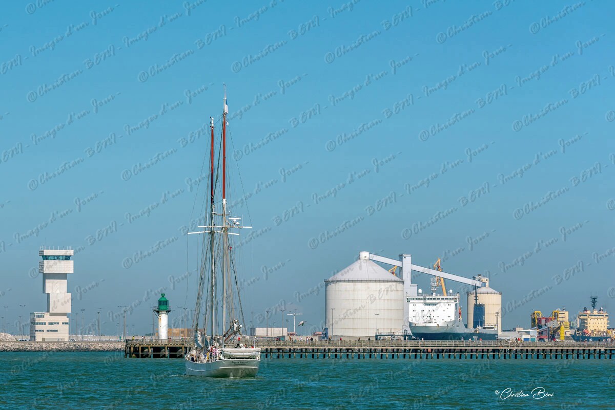 CB7_9904 