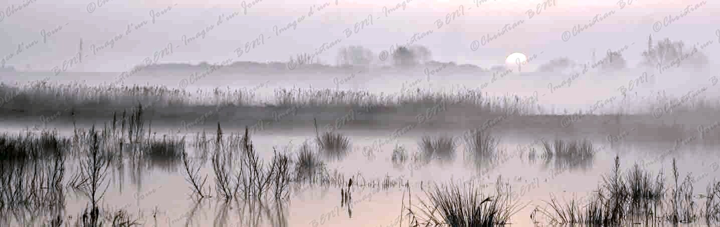 Sans titre_4 