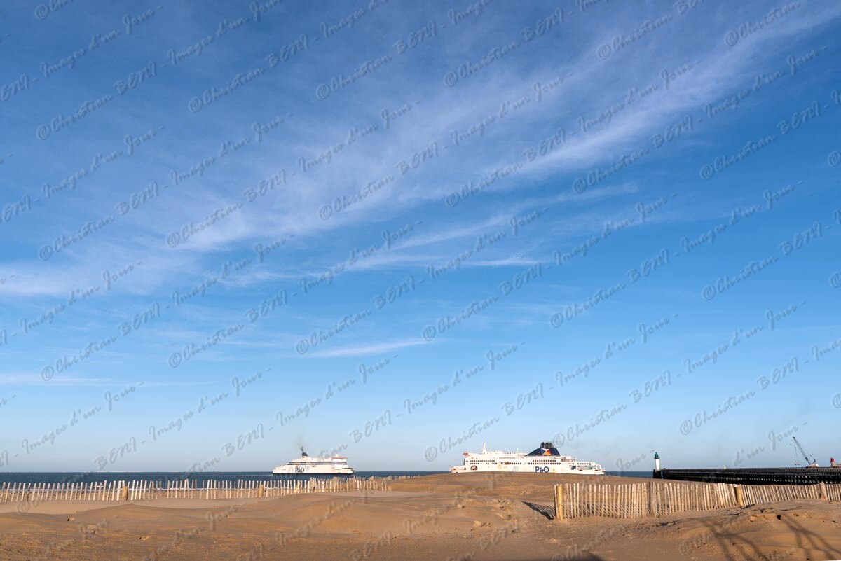 _CB75335 