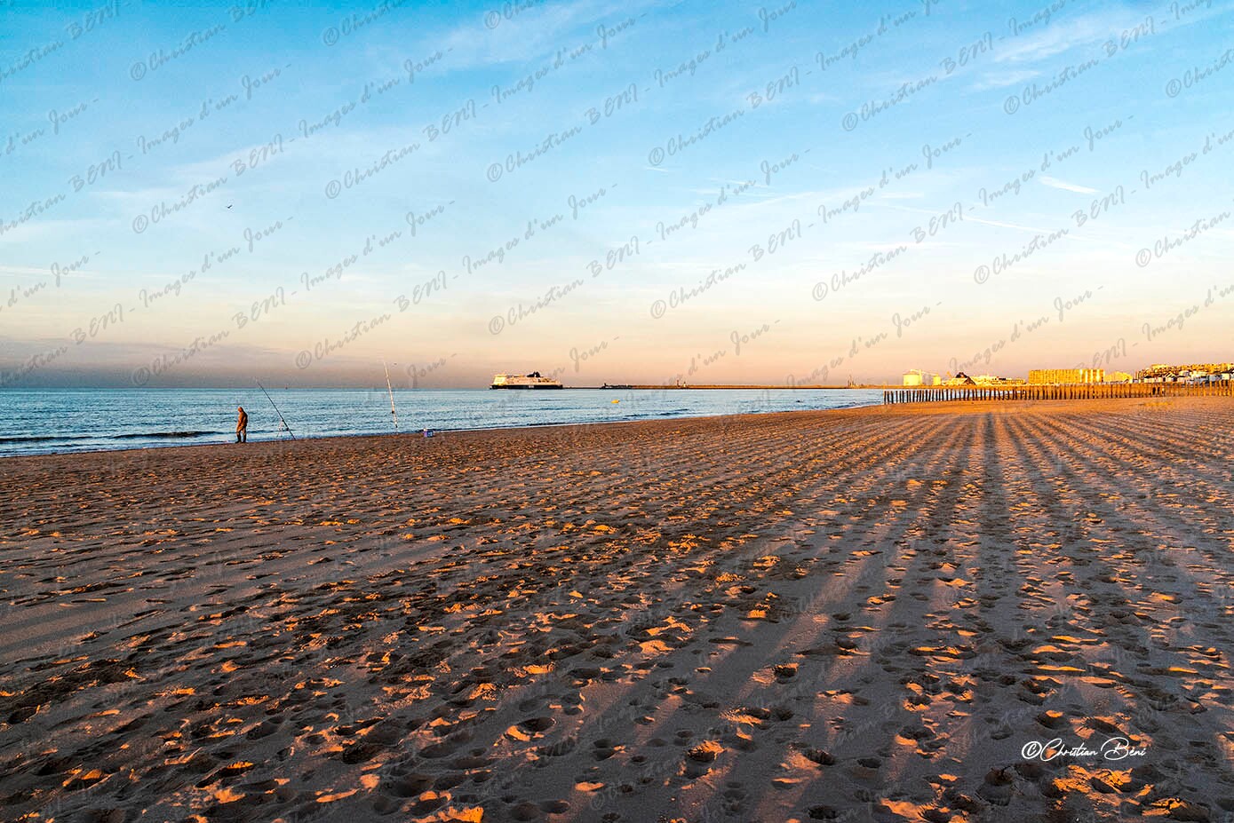_CB75868 