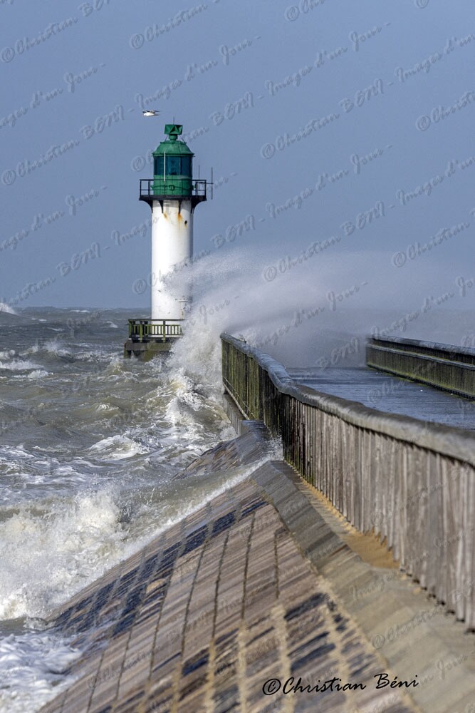 _CB78090 - Copie 