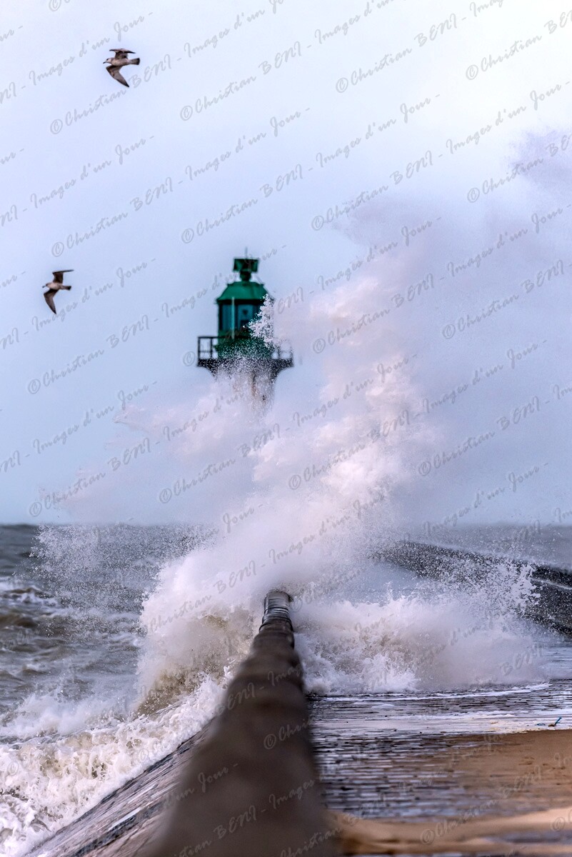 _CB78371 Tempete Clara 10 février 2020 à 21h44 ... 139km/h Cap-Gris Nez ,120 à 130 km/h sur tout le littoral,