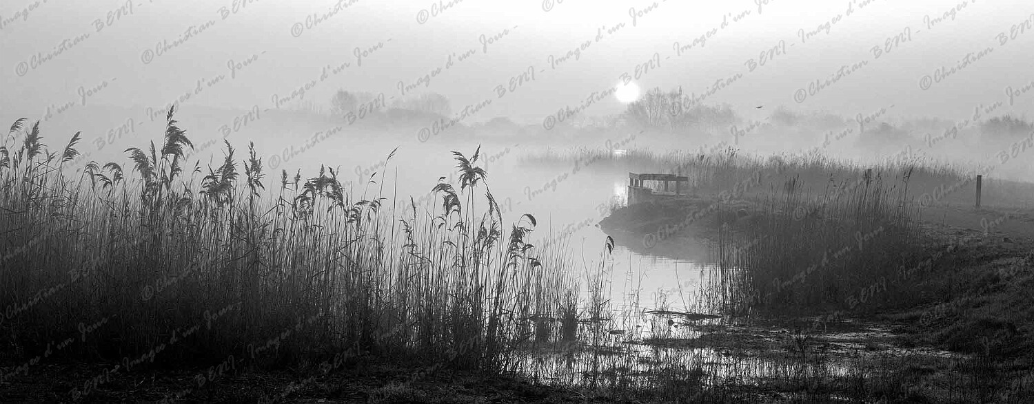 _CBI8141nb 