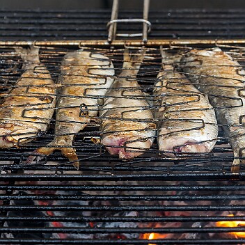 _CB78517 recadrée fete du Hareng