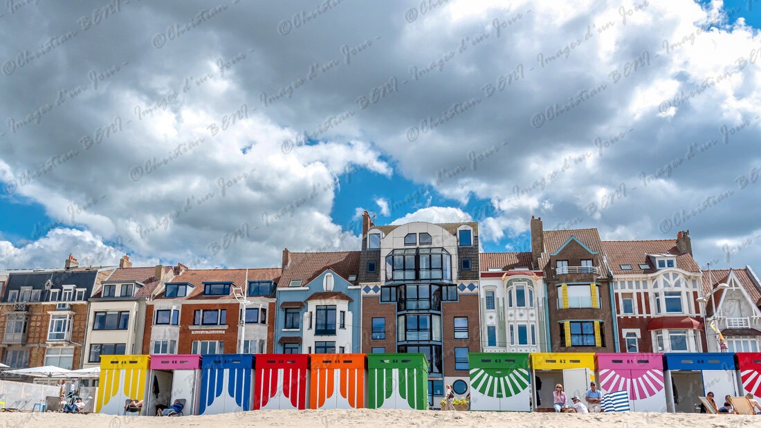 CB7_9788 