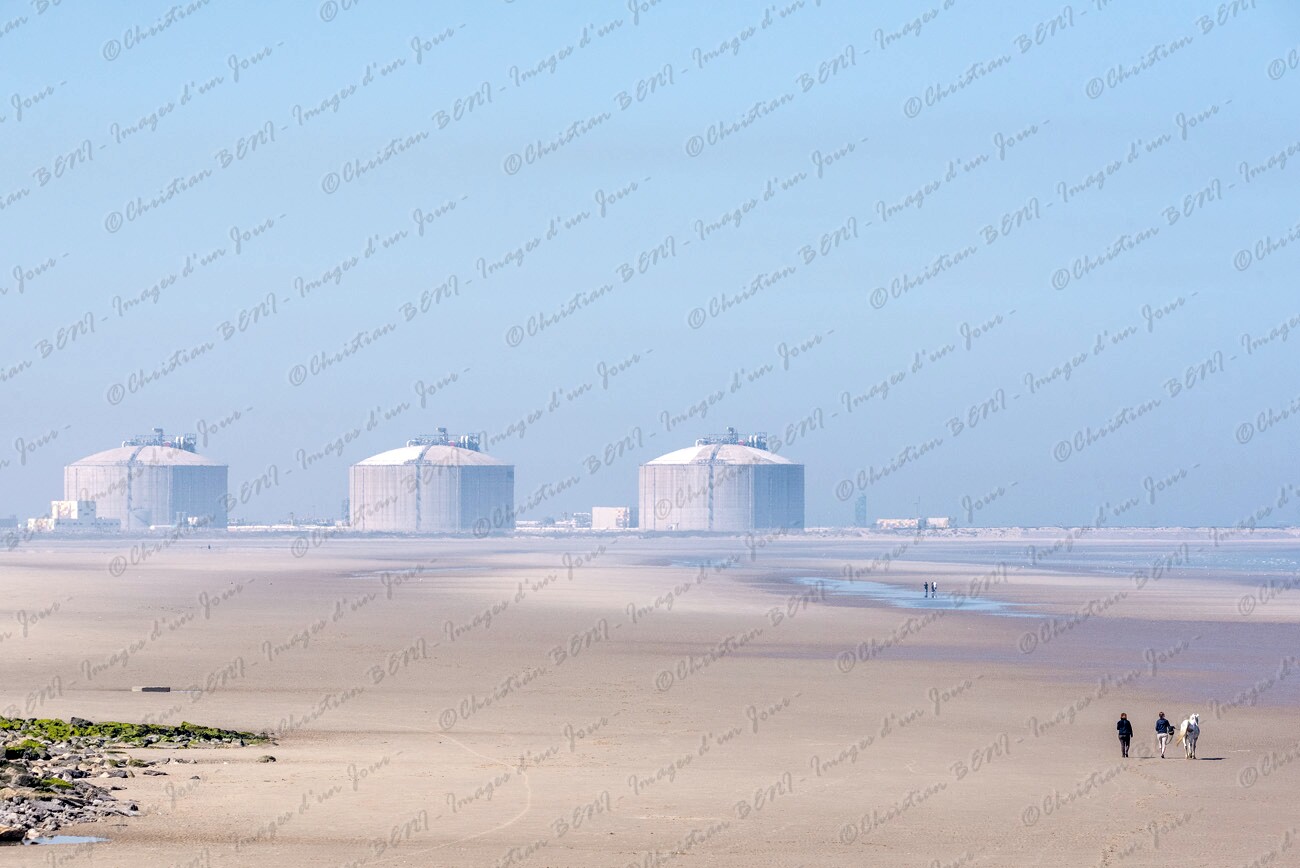 _CB73846 