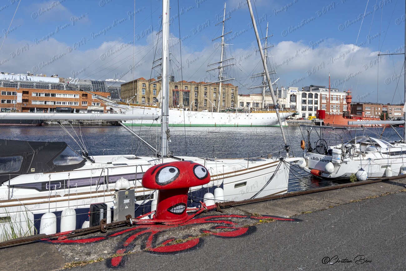 _CB78983 - Copie (2) 