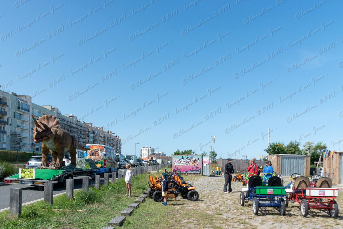 CB7_0778 