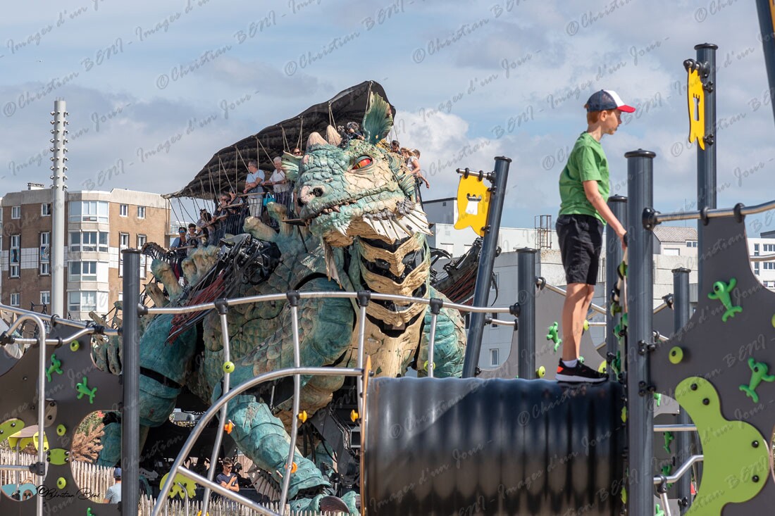 CB7_2045 