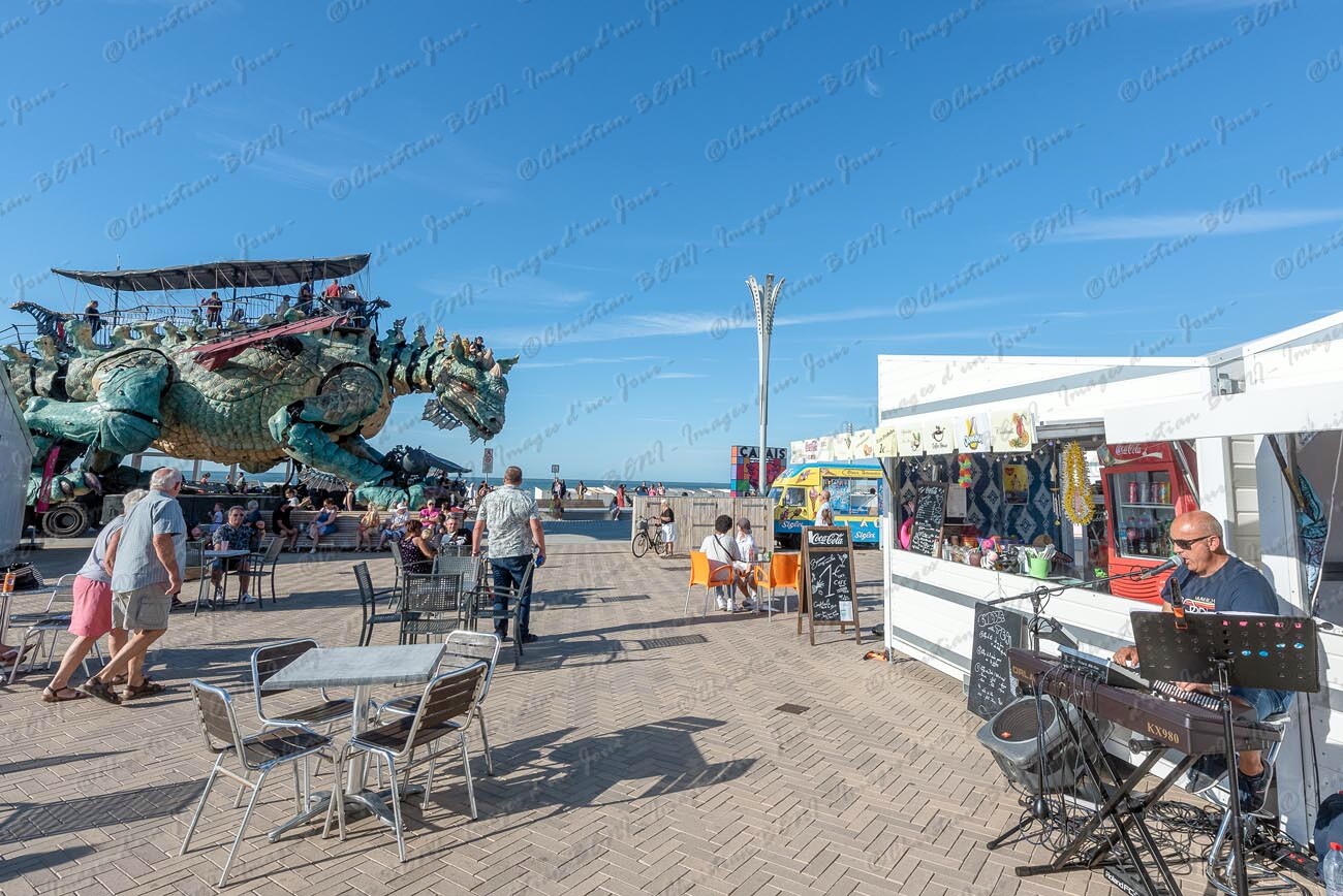 CB7_2265 