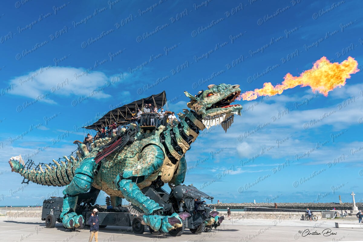 _CB78155 dragon 