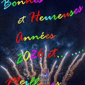 CB7_3204 Meilleurs voeux 202x