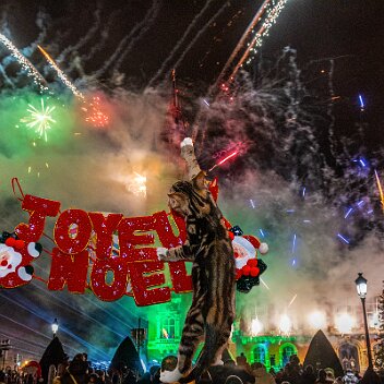 CB7_4229 Joyeux Noel 2024-