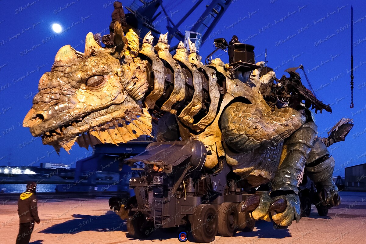 IMG_20251102_180517405 