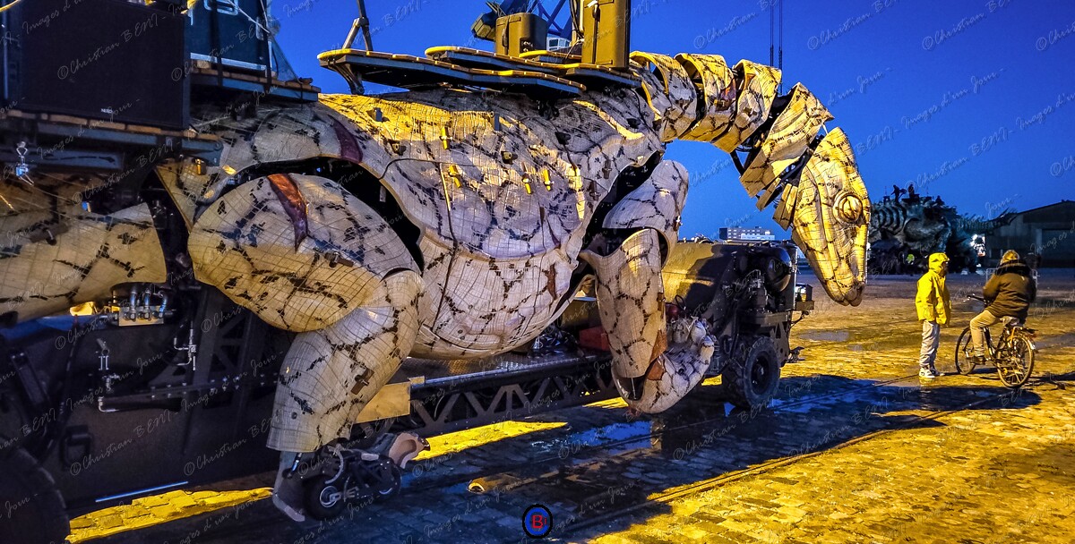 IMG_20251102_180654873 