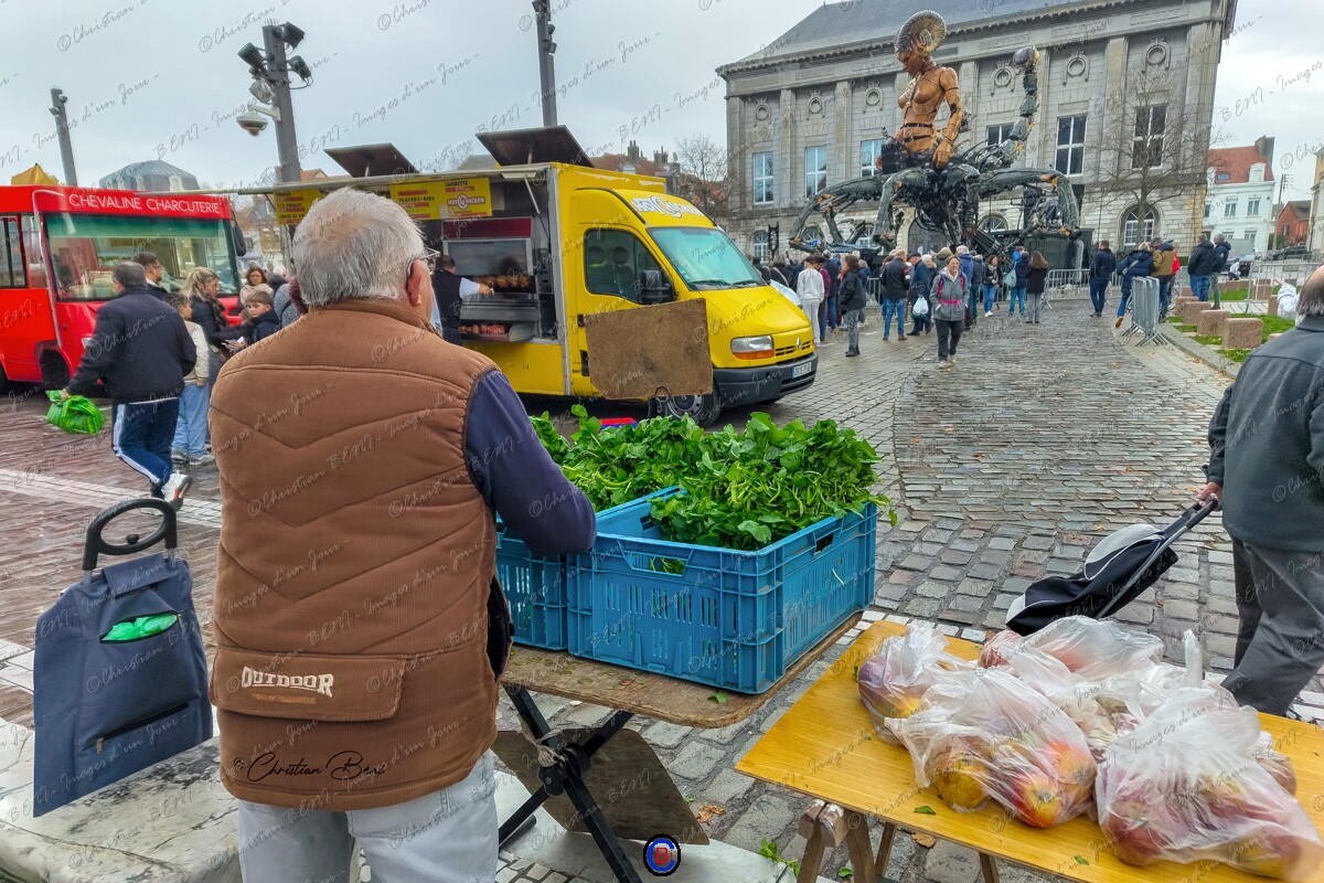 IMG_20251108_095536013 