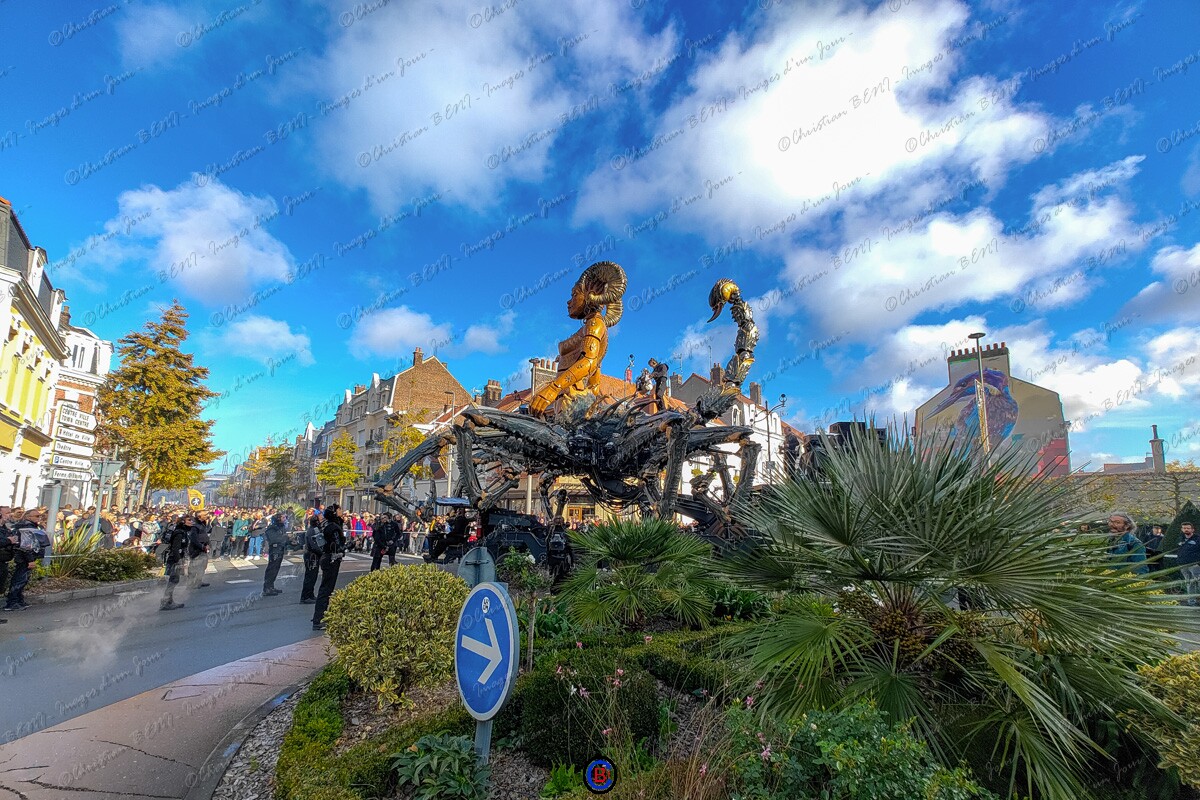 IMG_20251108_115004833 