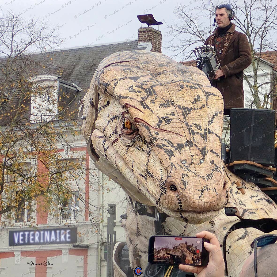 PB070720 Veterinaire carre 