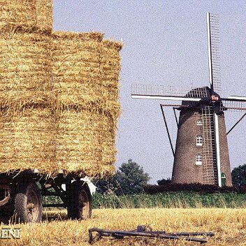 TERDEGHEM copie AppleMark