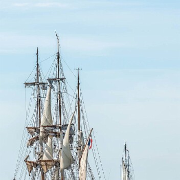 Le Français l'Iris et le Ferry